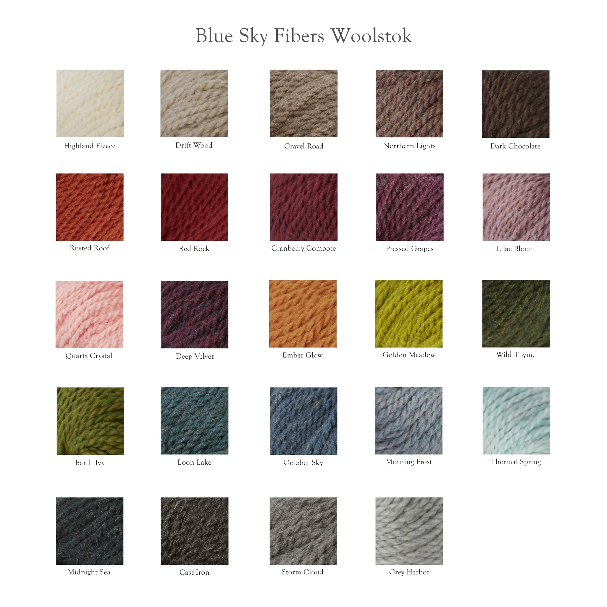 Woolstok Worsted 50 gm (100% wool)